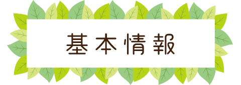 基本情報